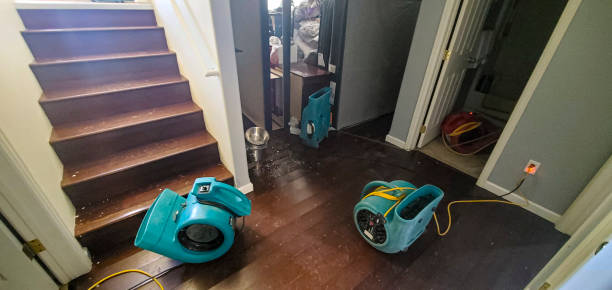 Best Water damage cleanup near me  in Orcutt, CA
