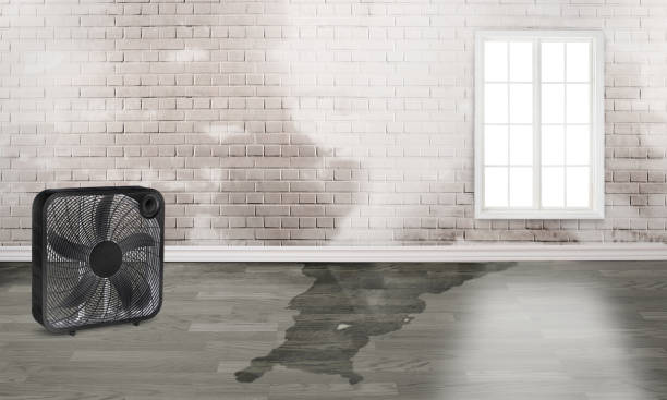 Best Emergency water damage restoration  in Orcutt, CA