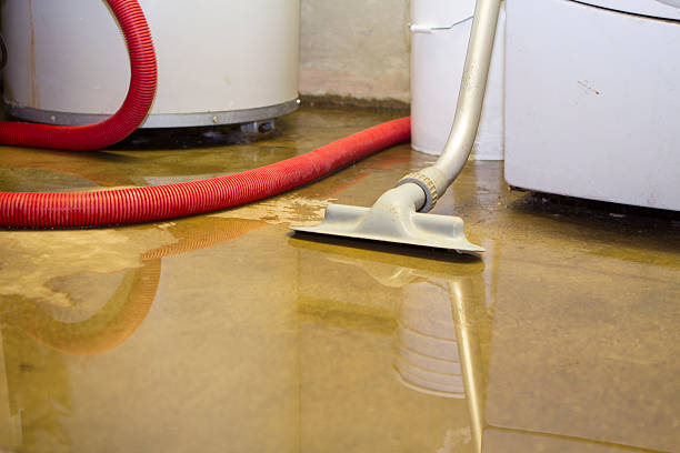 Best 24/7 water damage repair  in Orcutt, CA