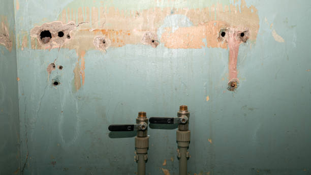 24/7 water damage repair in CA