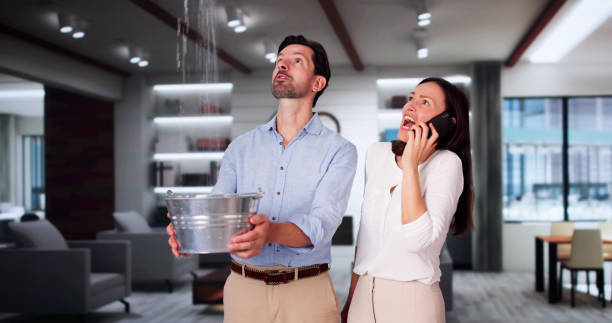 Best Water damage restoration near me  in Orcutt, CA